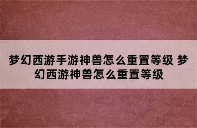 梦幻西游手游神兽怎么重置等级 梦幻西游神兽怎么重置等级